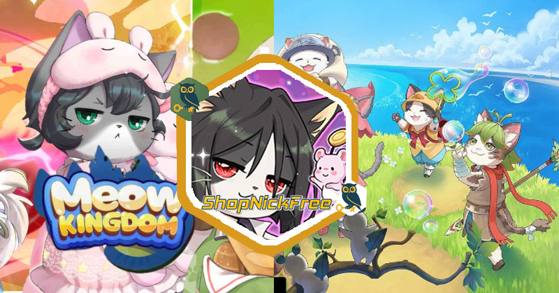 Code Meow Kingdom