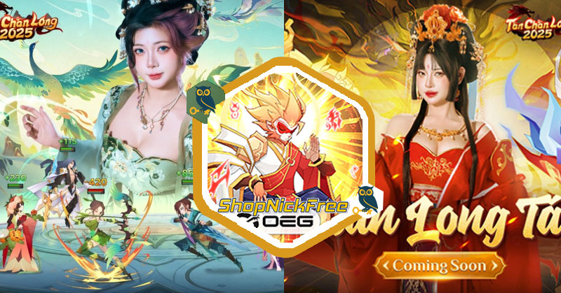 Code Tân Chân Long OEG