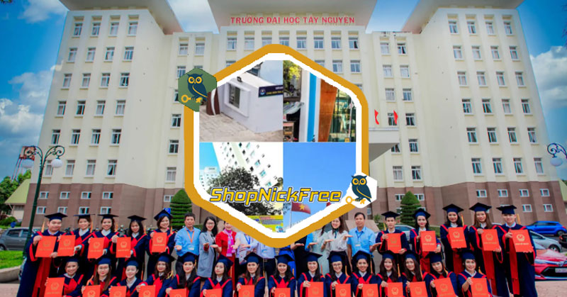 Danh sách các trường Cao đẳng ở Việt Nam