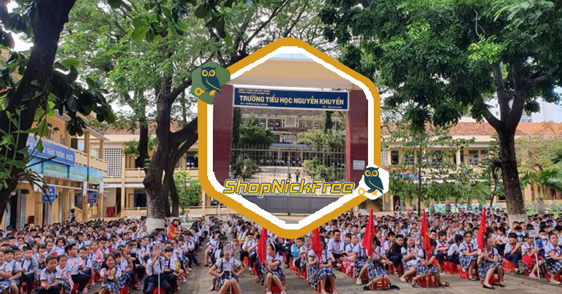 Danh sách các trường tiểu học ở Bình Định