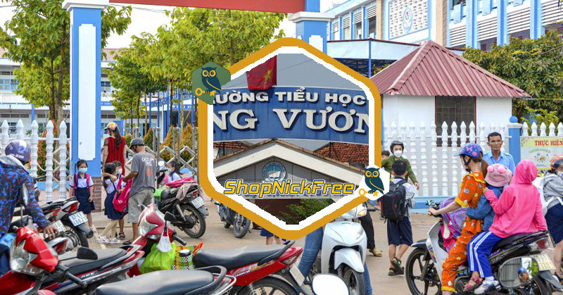 Danh sách các trường tiểu học ở Cà Mau