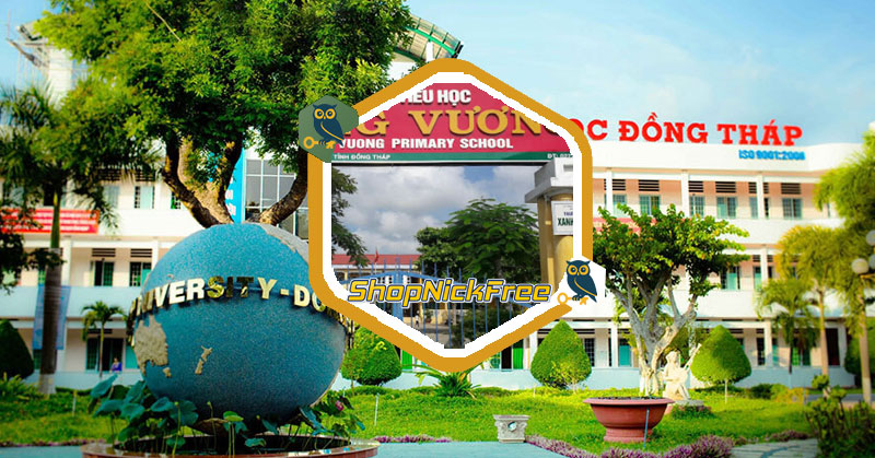 Danh sách các trường tiểu học ở Đồng Tháp
