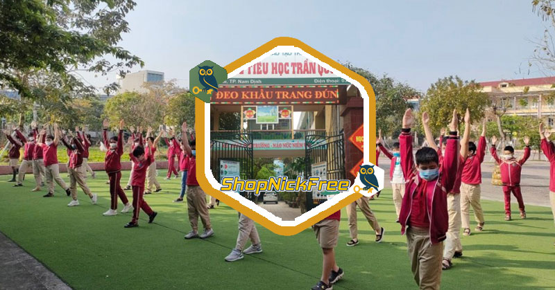 Danh sách các trường tiểu học ở Nam Định