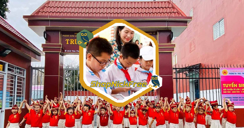 Danh sách các trường tiểu học ở Việt Nam