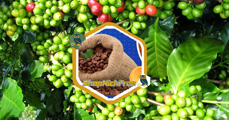 Giá Cà Phê Đắk Lắk
