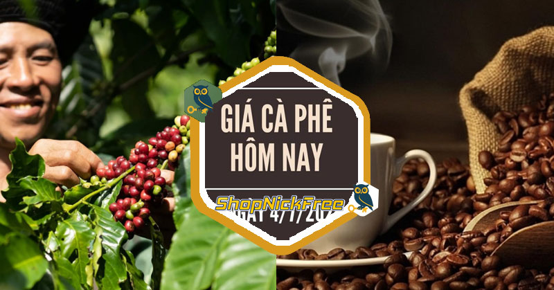 Giá cà phê hôm nay 04/07/2025