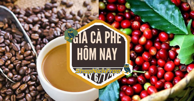 Giá cà phê hôm nay 06/07/2025