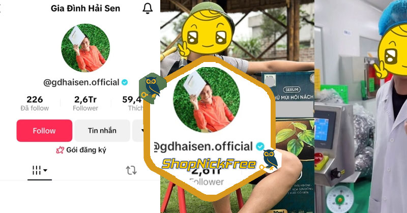 Gia đình Hải Sen Chủ kênh TikTok