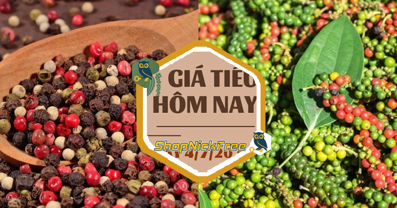 Giá Tiêu hôm nay 04/07/2025