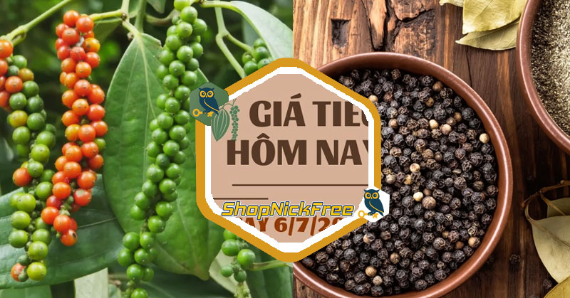 Giá Tiêu hôm nay 06/07/2025