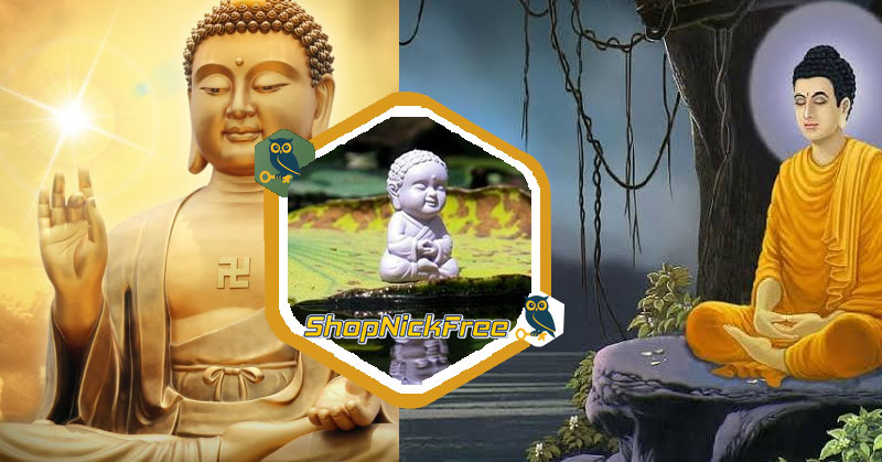Người bạn ghét kiếp này không bao giờ lại