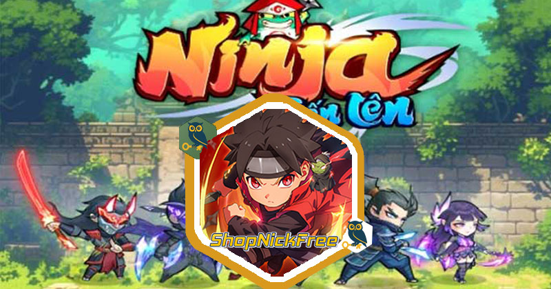 Code Ninja Tiến Lên
