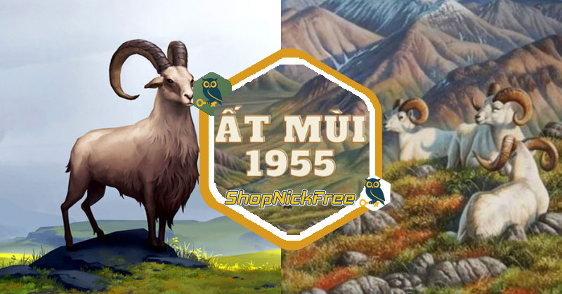 Tử vi tuổi Ất Mùi 1955 Nam mạng