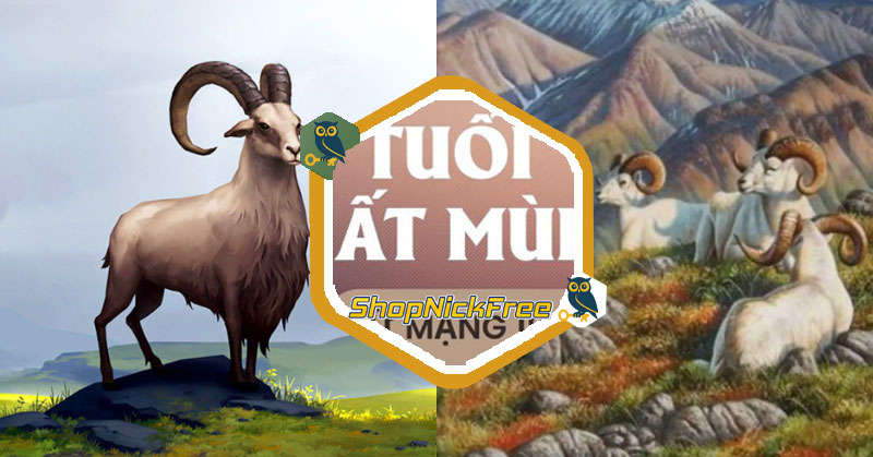 Tử vi tuổi Ất Mùi 1955 Nữ mạng