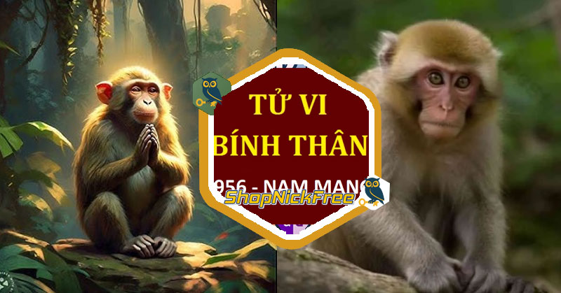Tử vi tuổi Bính Thân 1956 Nam mạng