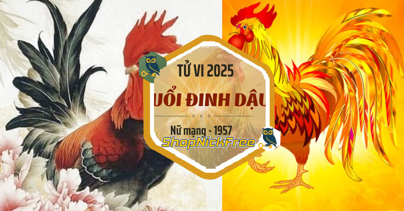 Tử vi tuổi Đinh Dậu 1957 Nữ mạng
