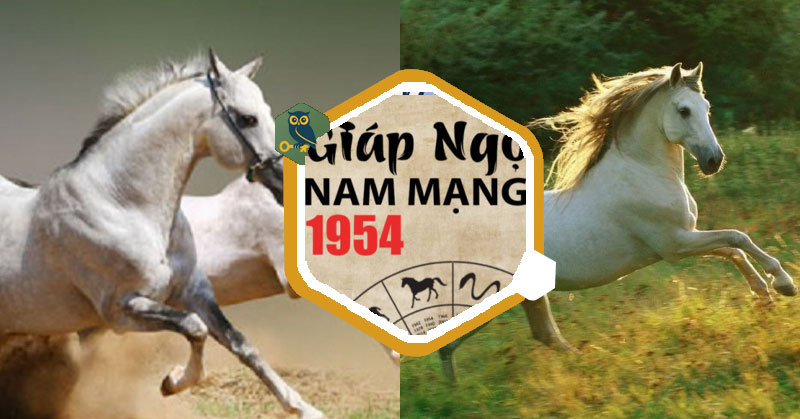 Tử vi tuổi Giáp Ngọ 1954 Nam mạng