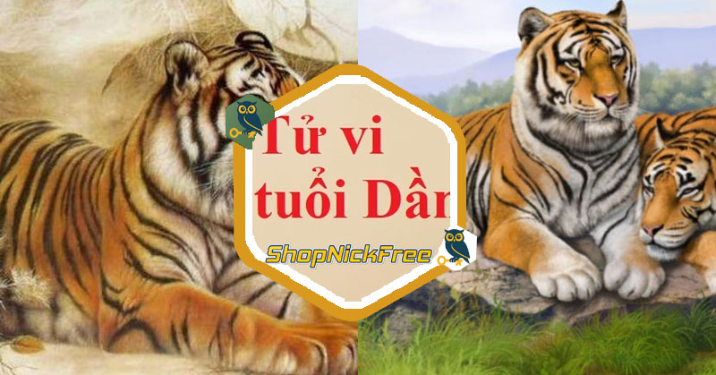 Tử vi tuổi Nhâm Dần 1962 Nam mạng
